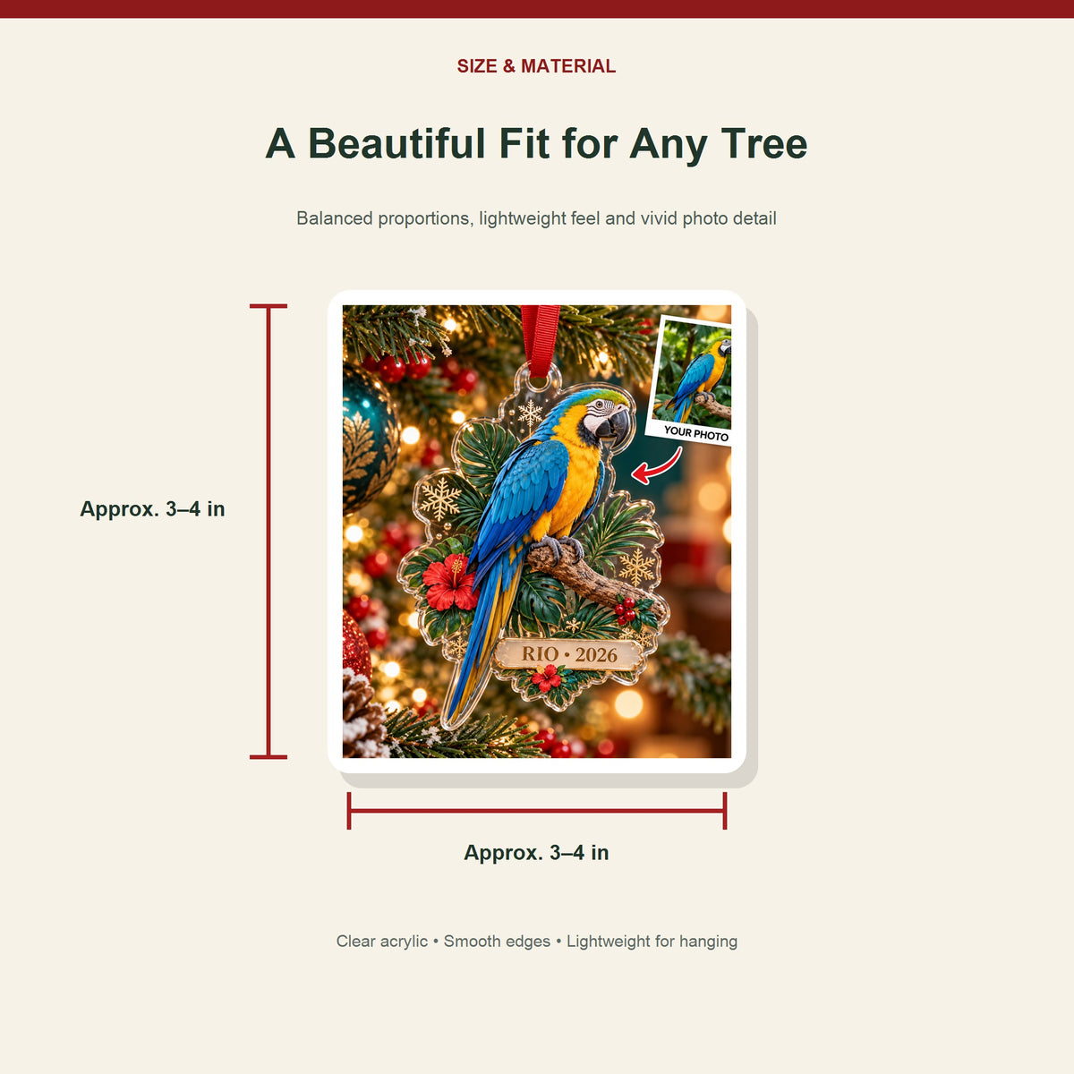 Parrot personalized acrylic ornament - image 3