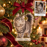 Personalized cat photo acrylic Christmas ornament
